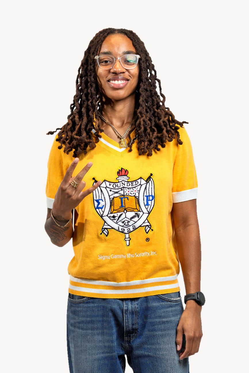 Shield Sweater Shirt in Gold, gold, standing