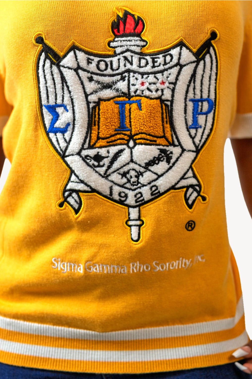Shield Sweater Shirt in Gold, gold, crest detail